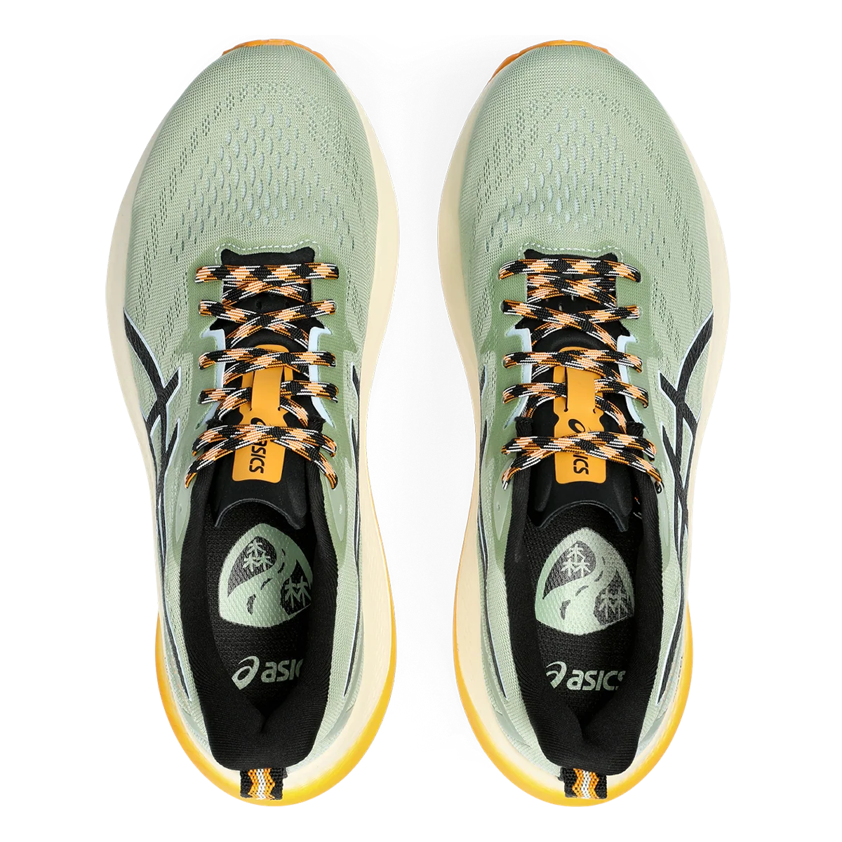 Asics GT 2000 12 TR
