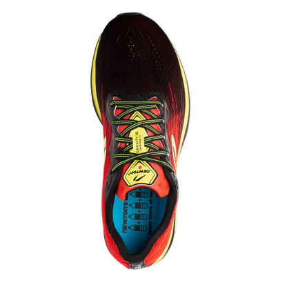 Newton Gravity 10