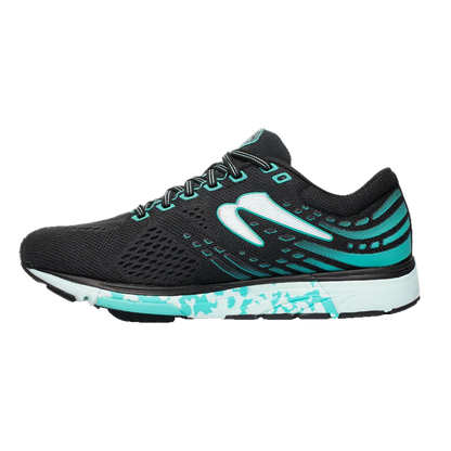 Newton Kismet 7