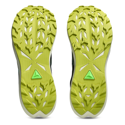 Asics Fuji Lite 6