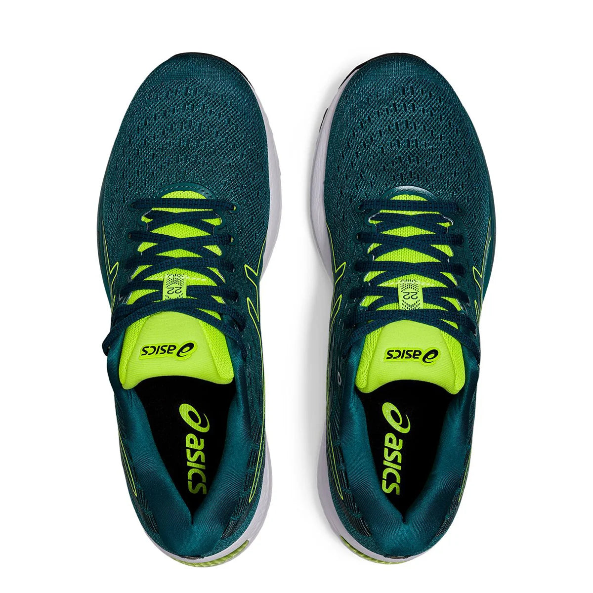 Asics Cumulus 22 - Misty Pine - Velvet Pine